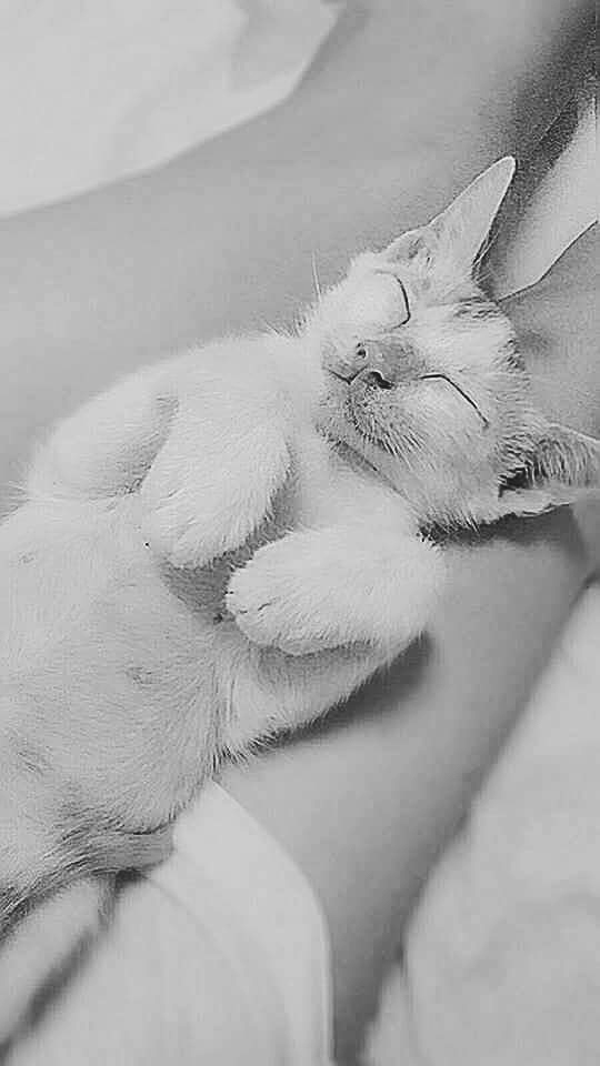 Nguyễn Thị Thủy Tiên